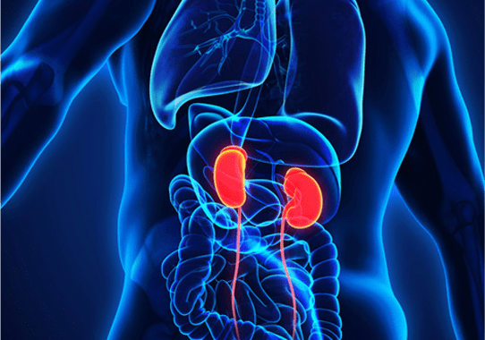 Best Kidney Specialists, Nephrologists in Boisar | Adhikari Lifeline